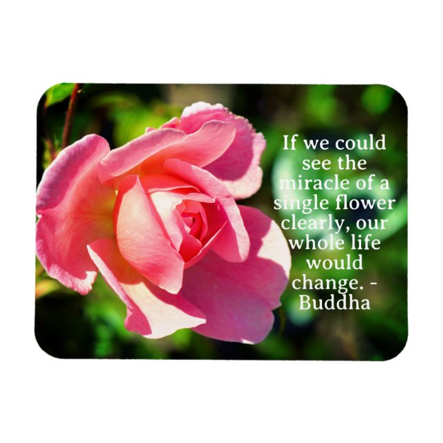 Ímã Citação Motivacional do Rosa Rosa (Horizontal)