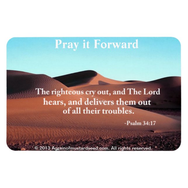 Ímã Citações Cristãs Inspiradoras (Horizontal)