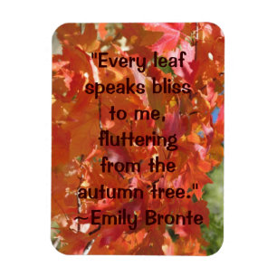 Ímã Citações do outono de Emily Bronte