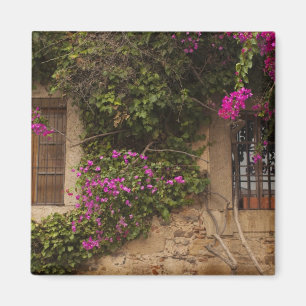 Imã Ciudad Monumental, edifícios cobertos de flores