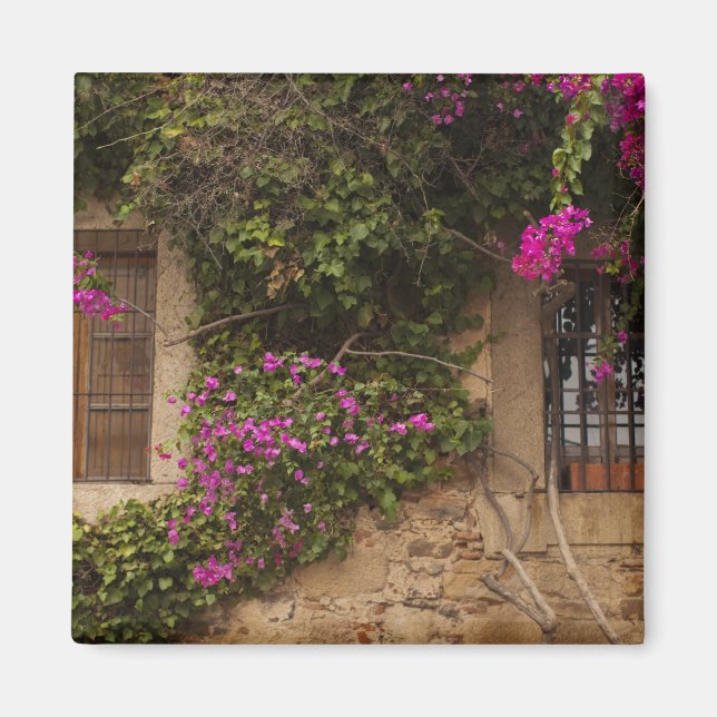 Imã Ciudad Monumental, edifícios cobertos de flores (Frente)
