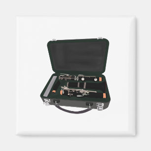 Imã Clarinet Desmontado Dentro a Suitcase