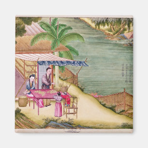 Imã Classificando os casulos