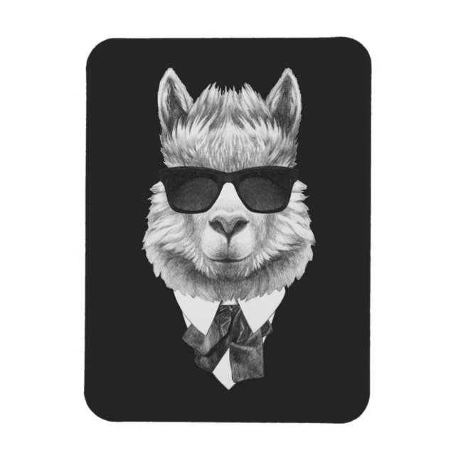 Ímã Classy Llama (Vertical)