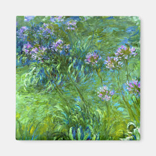 Imã Claude Monet: Agapanthus