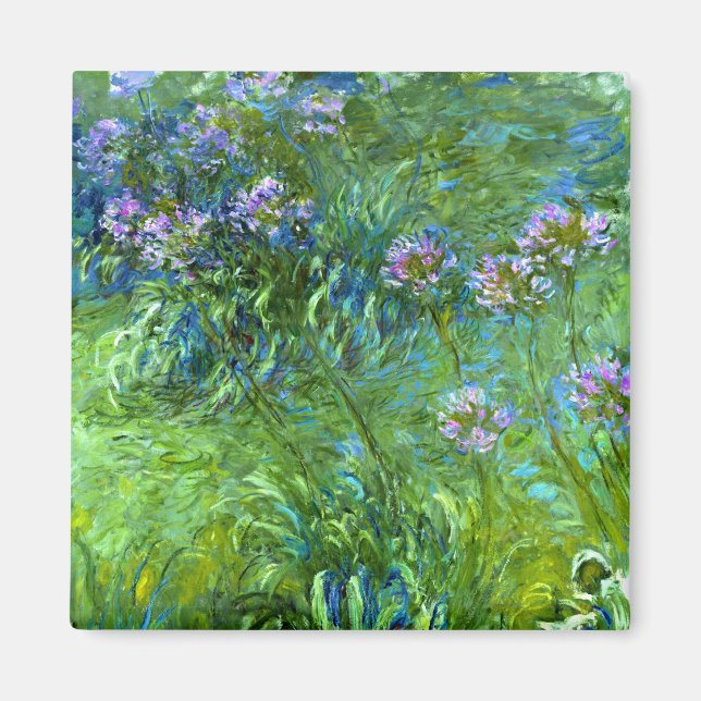 Imã Claude Monet: Agapanthus (Frente)