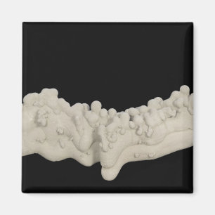 Imã Clay Concretion