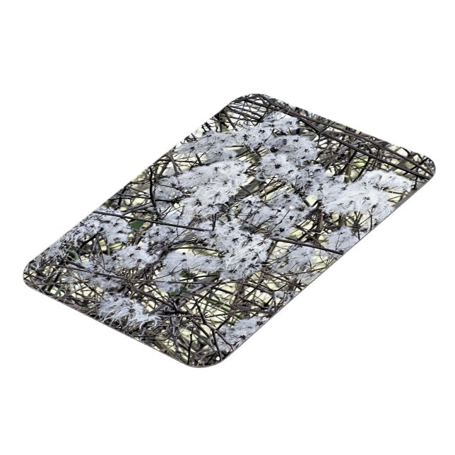 ÍMÃ CLEMÁTICA (Left Side)