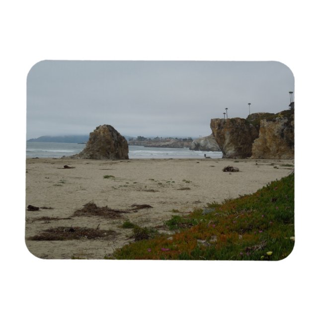 Ímã Cliff Ao Longo Da Pismo Beach Shoreline (Horizontal)