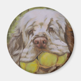 Imã Clumber Spaniel