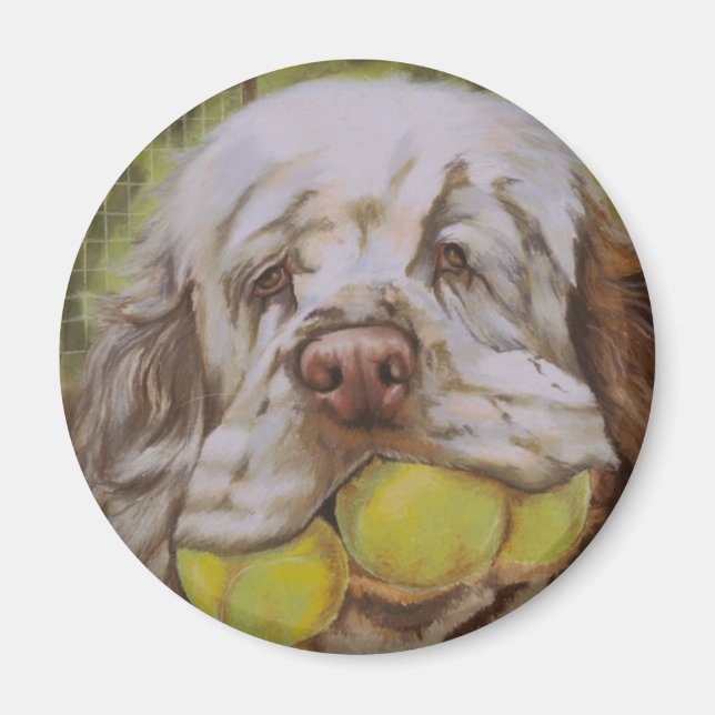 Imã Clumber Spaniel (Frente)