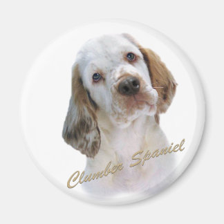 Imã Clumber Spaniel Magnet
