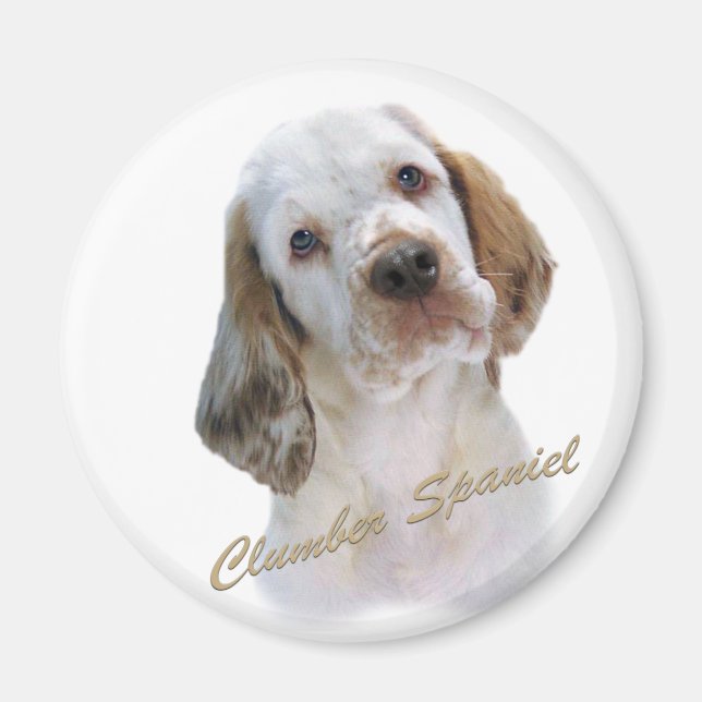 Imã Clumber Spaniel Magnet (Frente)