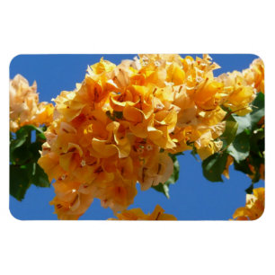 Ímã Cluster de Bougainvillea Floral Ouro