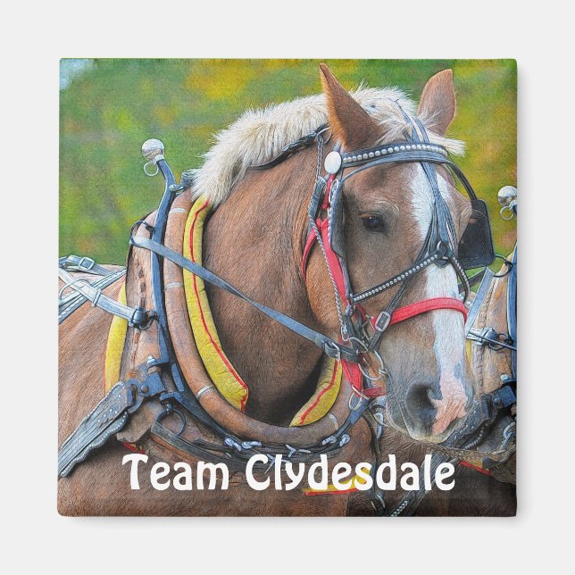 Imã Clydesdale Draft Horse Team Magnetic Art Gift (Frente)