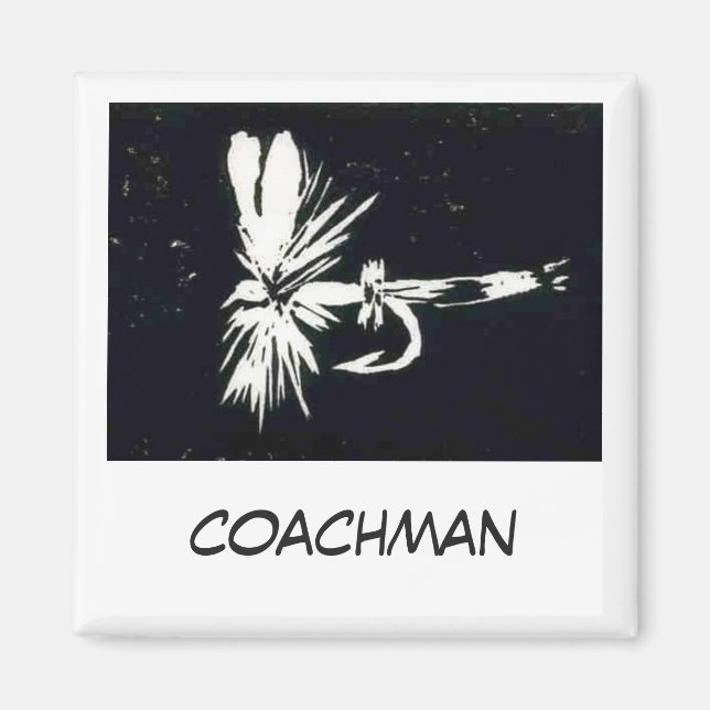 Imã "Coachman" (Frente)