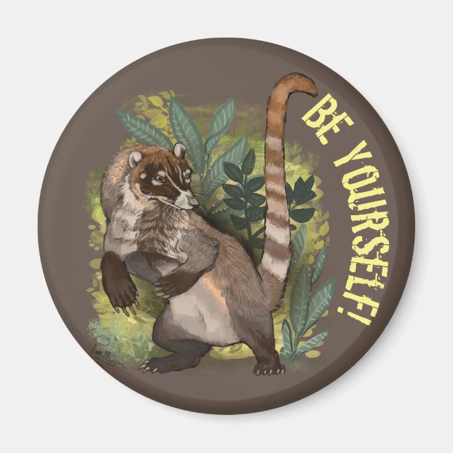 Imã Coatamundi or White Nosed Coati (Frente)