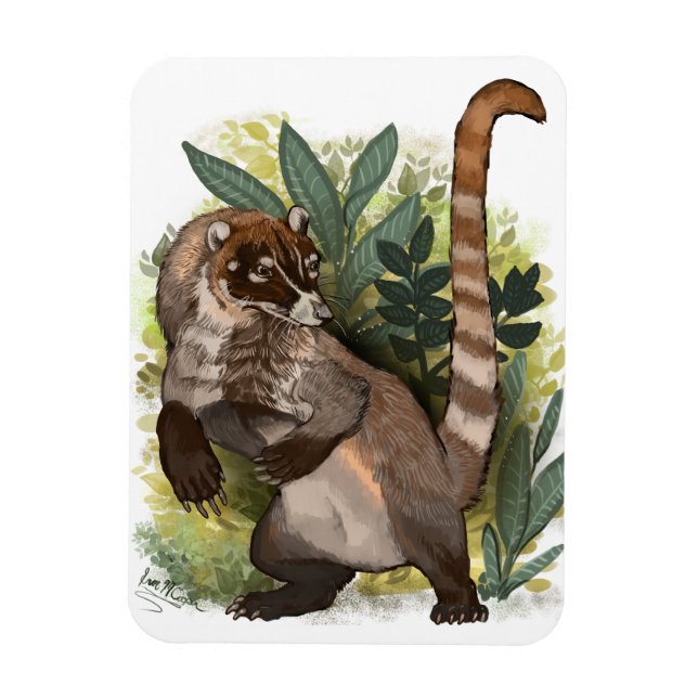 Ímã Coatamundi ou branco coati (Vertical)