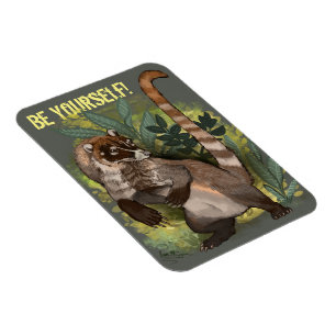 Ímã Coatamundi ou branco coati