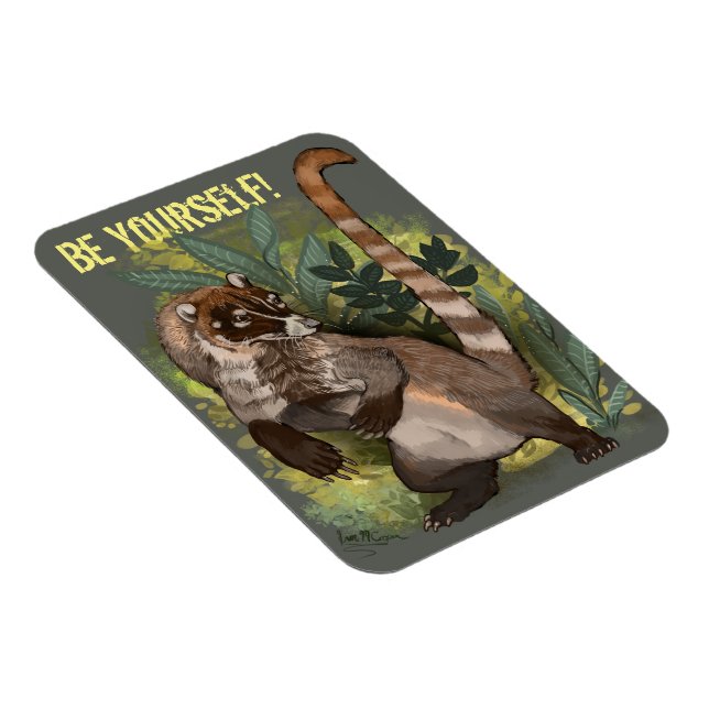 Ímã Coatamundi ou branco coati (Lado Direito)