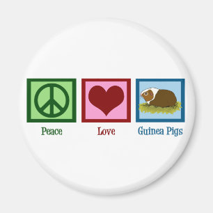 Imã Cobaia bonito