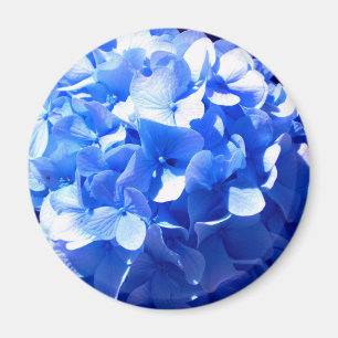 Imã Cobalt Azul