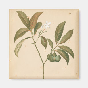 Imã Cobalt Deco Painel I