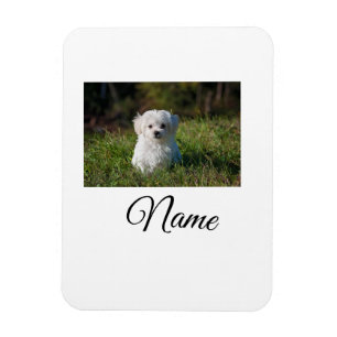 Ímã Cobertor personalizado com foto de animal colorido