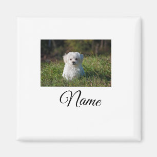 Imã Cobertor personalizado com foto de animal colorido