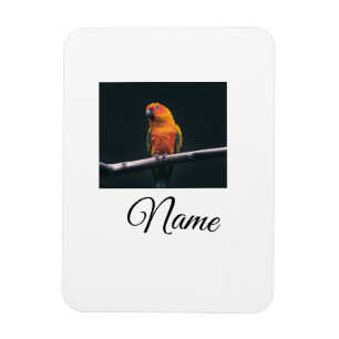 Ímã Cobertor personalizado com foto de animal colorido
