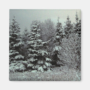 Imã Cobertura De Neve