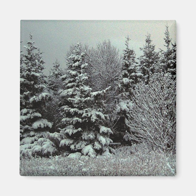 Imã Cobertura De Neve (Frente)