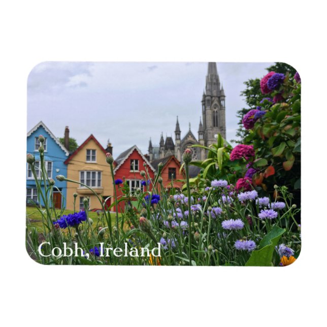 Ímã Cobh, Irlanda Colorida Hydrangeas Magnet (Horizontal)