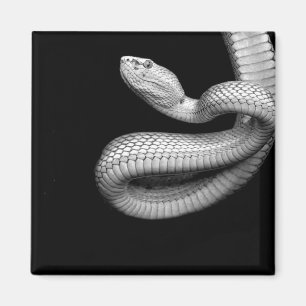 Imã Cobra