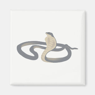 Imã Cobra