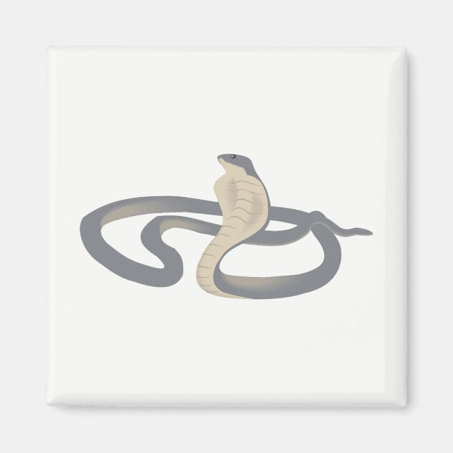 Imã Cobra (Frente)