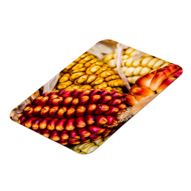 Ímã Cobs de milho (Left Side)