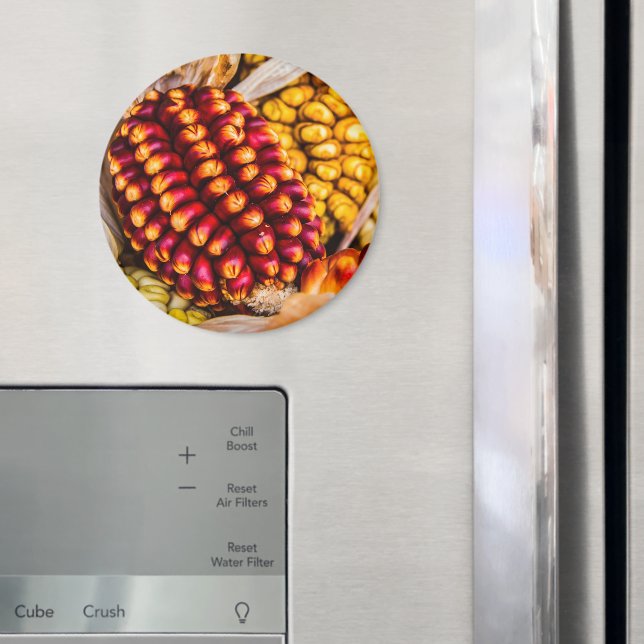 Imã Cobs de milho (In Situ (Fridge))
