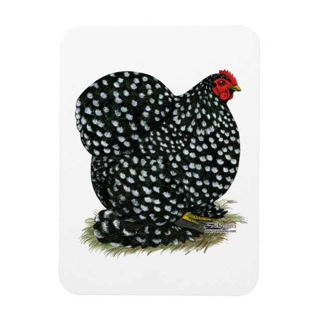 Ímã Cochin Mottled Hen (Vertical)