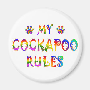Imã Cockapoo ordena o divertimento