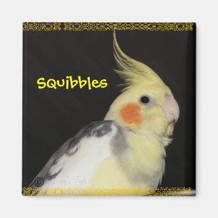 Imã Cockatiel da prímula