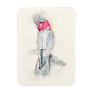 Ímã Cockato de Ópera de Aquarela