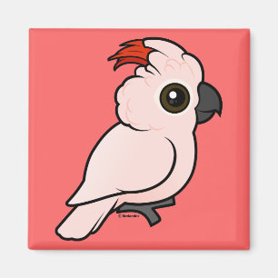 Imã Cockatoo Salmão-com crista