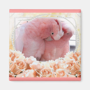 Imã Cockatoos cor-de-rosa