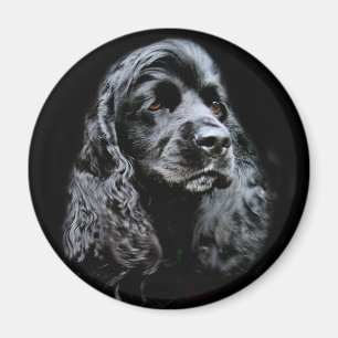 Imã Cocker spaniel preto