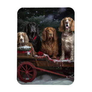 Ímã Cocker Spaniel Trineve Trenó Natal Decoração