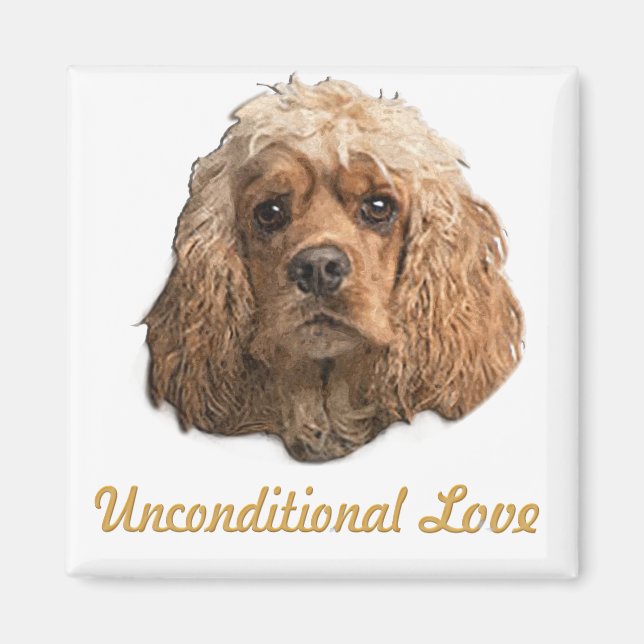 Imã cocker Spaniels (Frente)