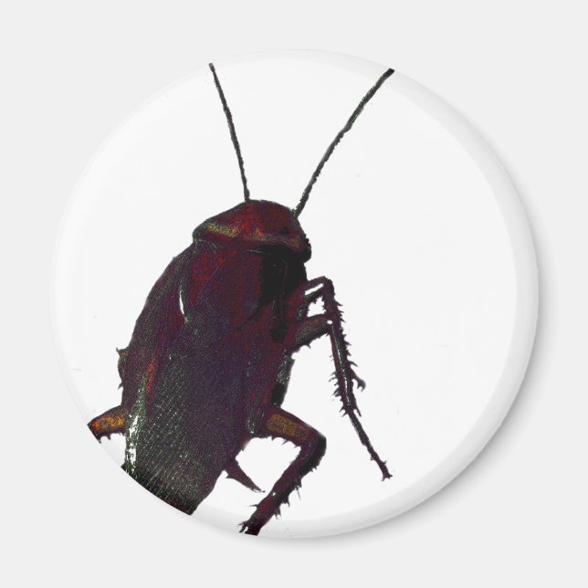 Imã Cockroach (Frente)