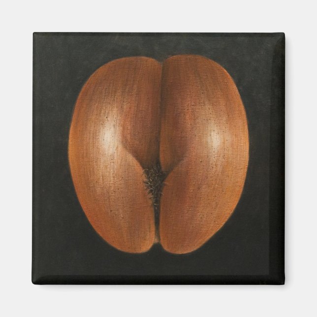 Imã Coco de Mer 2010 (Frente)