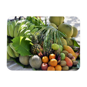 Ímã Cocos, laranjas, limões, bananas, papaia